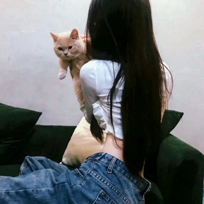 白蛇抄